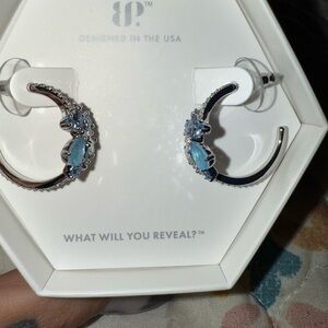 Elegant Silver and Blue Earrings